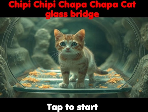 Xogo Chipi Chipi Chapa Chapa ponte de vidro de gato  en liña