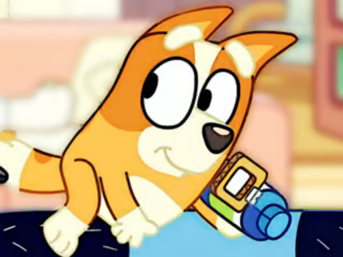 Xogo Puzzle Jigsaw: observación de baleas bluey  en liña