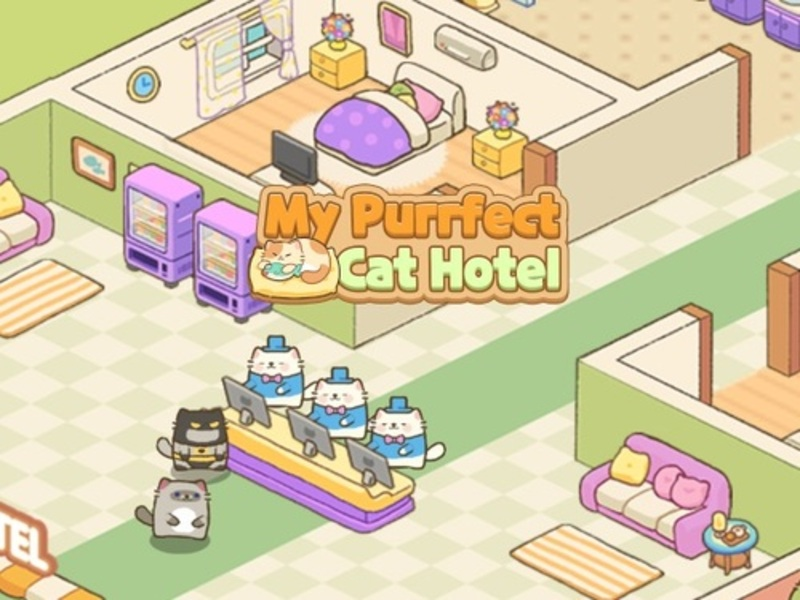 Xogo O meu hotel de gatos purrfect en liña