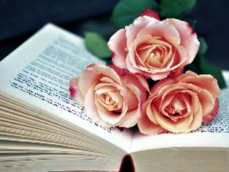 Xogo Libro de Blooms Jigsaw en liña